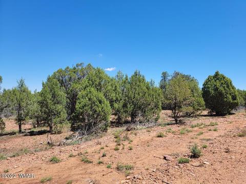 3526 Cedar Creek Dr, Overgaard, AZ 85933 photo 10