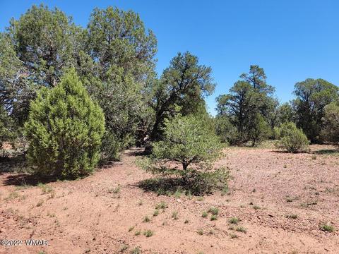 3526 Cedar Creek Dr, Overgaard, AZ 85933 photo 3