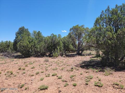 3526 Cedar Creek Dr, Overgaard, AZ 85933 photo 11