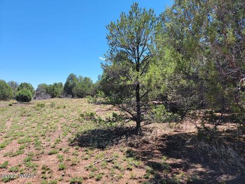 3526 Cedar Creek Dr, Overgaard, AZ 85933 photo 1