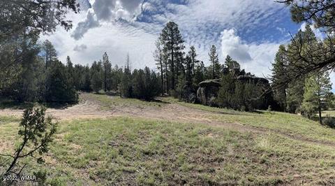 1885 Chevelon Road, Heber, AZ 85928