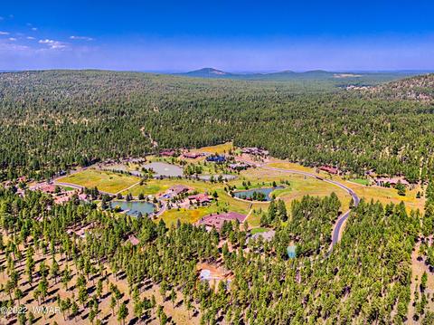 9581 Sierra Springs Dr, Pinetop, AZ 85935