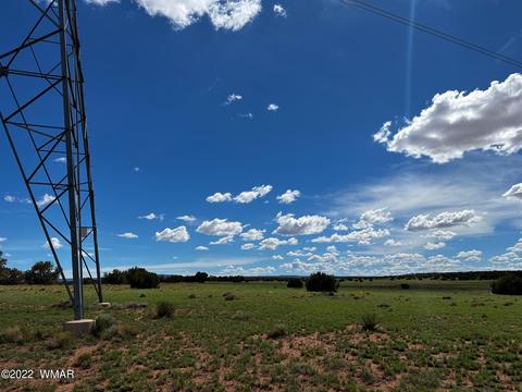 49 N9012, Concho, AZ 85924 photo 3