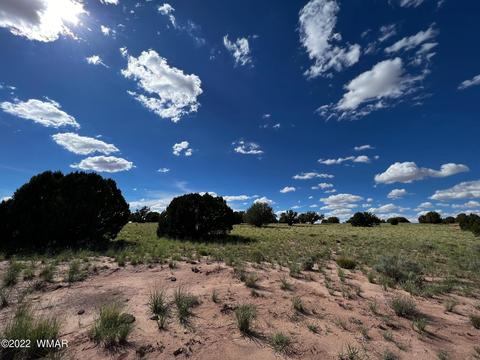 49 N9012, Concho, AZ 85924 photo 17