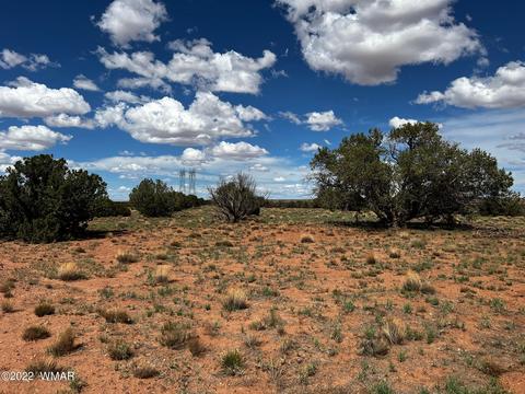 49 N9012, Concho, AZ 85924 photo 10