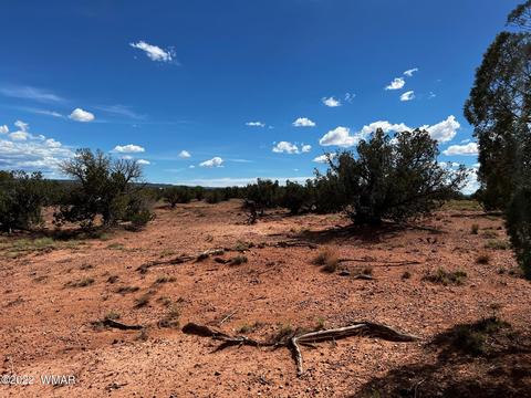 49 N9012, Concho, AZ 85924 photo 8