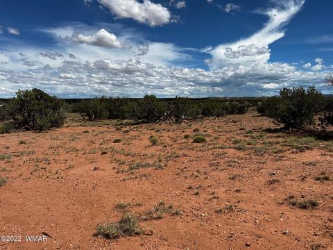 49 N9012, Concho, AZ 85924 photo 9