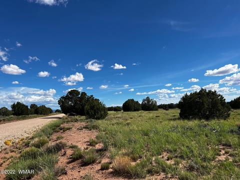 49 N9012, Concho, AZ 85924 photo 14