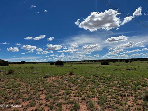 49 N9012, Concho, AZ 85924 photo 2