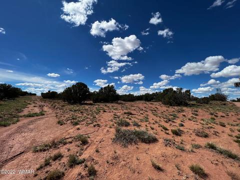49 N9012, Concho, AZ 85924 photo 12