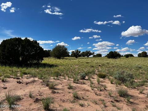49 N9012, Concho, AZ 85924 photo 16