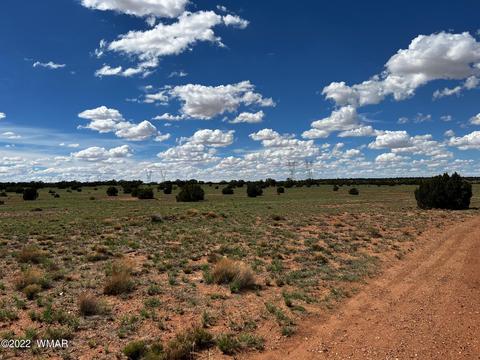 49 N9012, Concho, AZ 85924 photo 11