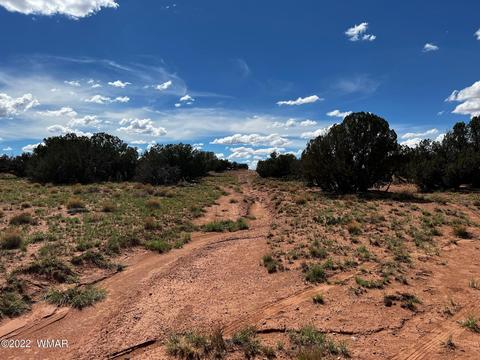 49 N9012, Concho, AZ 85924 photo 13