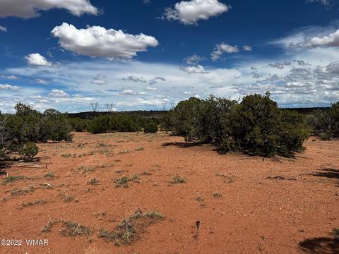 49 N9012, Concho, AZ 85924 photo 7