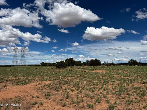 49 N9012, Concho, AZ 85924 photo 4