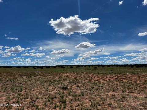 49 N9012, Concho, AZ 85924 photo 6