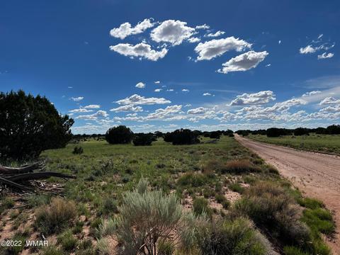 49 N9012, Concho, AZ 85924 photo 15