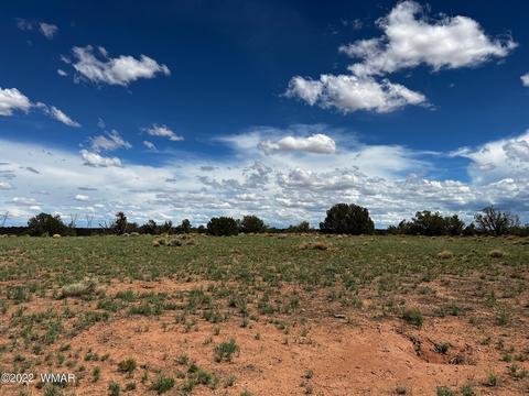 49 N9012, Concho, AZ 85924 photo 5
