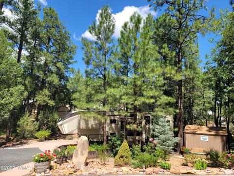2180 Horseshoe Loop, Show Low, AZ 85901 photo 5