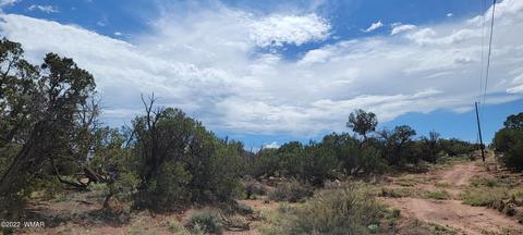 4242 Appaloosa Rd, Snowflake, AZ 85937 photo 1