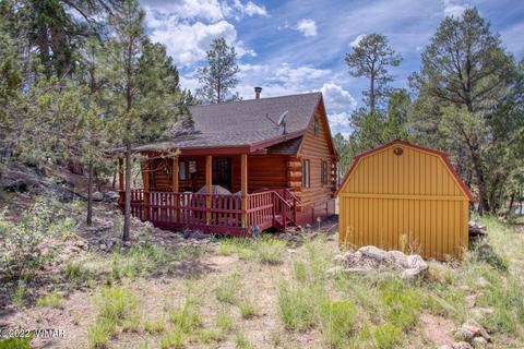 3367 Navajo Dr, Overgaard, AZ 85933 photo 13