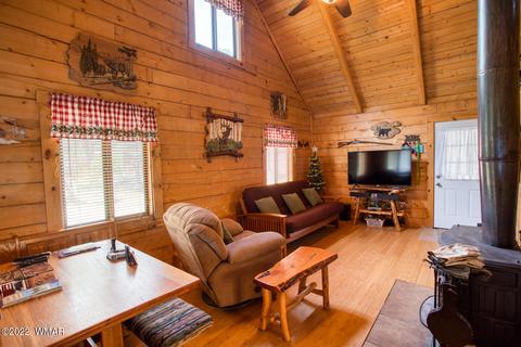 3367 Navajo Dr, Overgaard, AZ 85933 photo 4