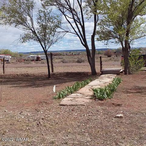 1785 N 15th, Saint Johns, AZ 85936 photo 18