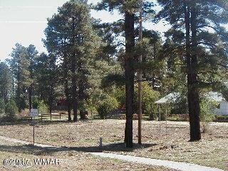 2182 E St, Overgaard, AZ 85933 photo 2