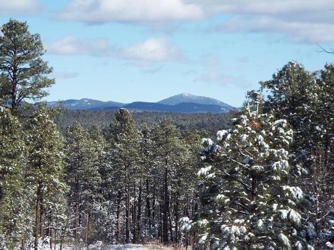 2265 S Willow Way Ln, Pinetop, AZ 85935