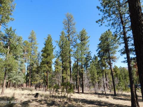 5 County Road 2192, Alpine, AZ 85920