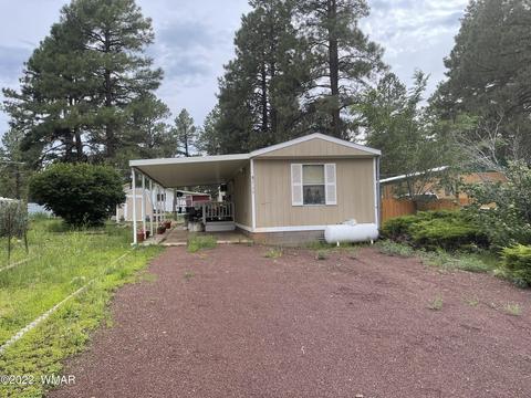 2179 Ruby Ln, Overgaard, AZ 85933 photo 1