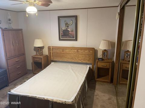 2179 Ruby Ln, Overgaard, AZ 85933 photo 9