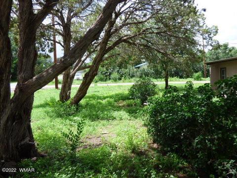 196 W 4th St, Eagar, AZ 85925 photo 7