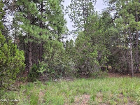 1930 Indian Dr, Overgaard, AZ 85933 photo 1