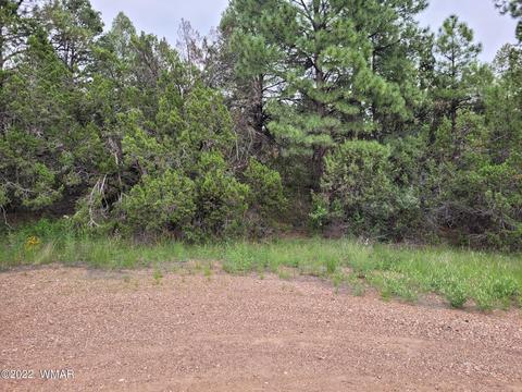 1930 Indian Dr, Overgaard, AZ 85933 photo 2