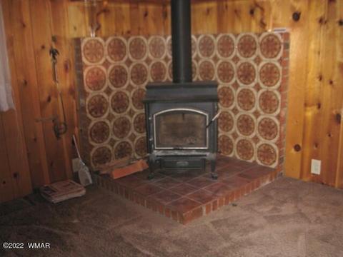 2889 Antelope Trl, Overgaard, AZ 85933 photo 4