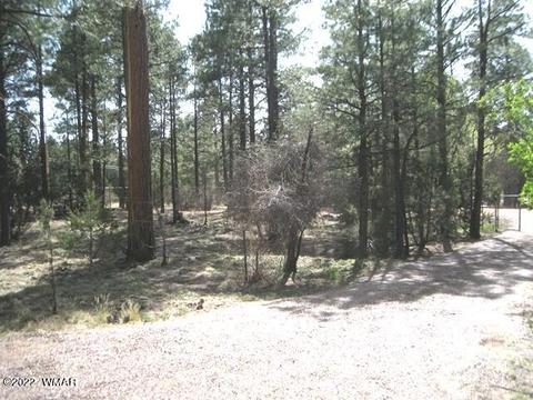 2889 Antelope Trl, Overgaard, AZ 85933 photo 38