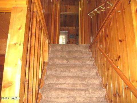 2889 Antelope Trl, Overgaard, AZ 85933 photo 22