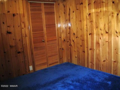 2889 Antelope Trl, Overgaard, AZ 85933 photo 16
