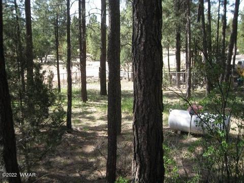 2889 Antelope Trl, Overgaard, AZ 85933 photo 34