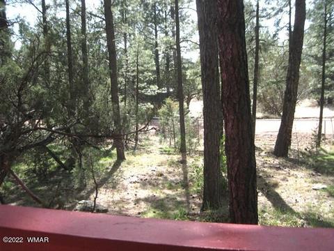 2889 Antelope Trl, Overgaard, AZ 85933 photo 33