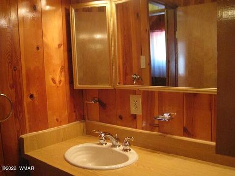 2889 Antelope Trl, Overgaard, AZ 85933 photo 25