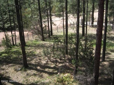 2889 Antelope Trl, Overgaard, AZ 85933 photo 35