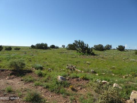 lot468 111-22-468 #3, Heber, AZ 85928