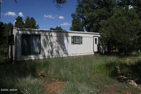 2130 Bluejay Rd, Overgaard, AZ 85933 photo 6
