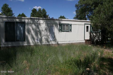 2130 Bluejay Rd, Overgaard, AZ 85933 photo 26