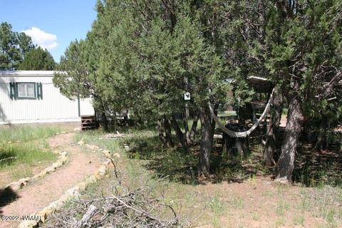 2130 Bluejay Rd, Overgaard, AZ 85933 photo 29