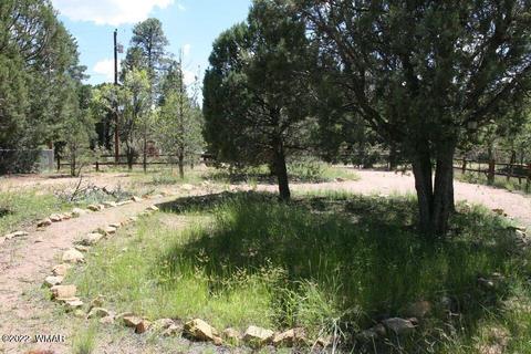 2130 Bluejay Rd, Overgaard, AZ 85933 photo 27