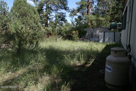 2130 Bluejay Rd, Overgaard, AZ 85933 photo 8