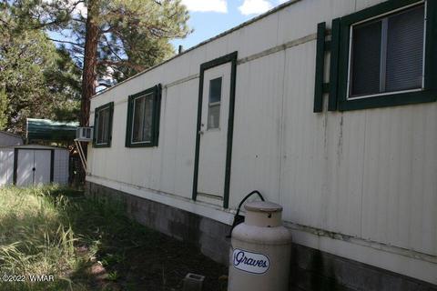 2130 Bluejay Rd, Overgaard, AZ 85933 photo 9